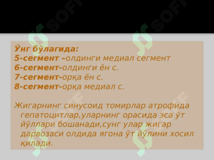 Jigar fva taloq anatomiyasi 8
