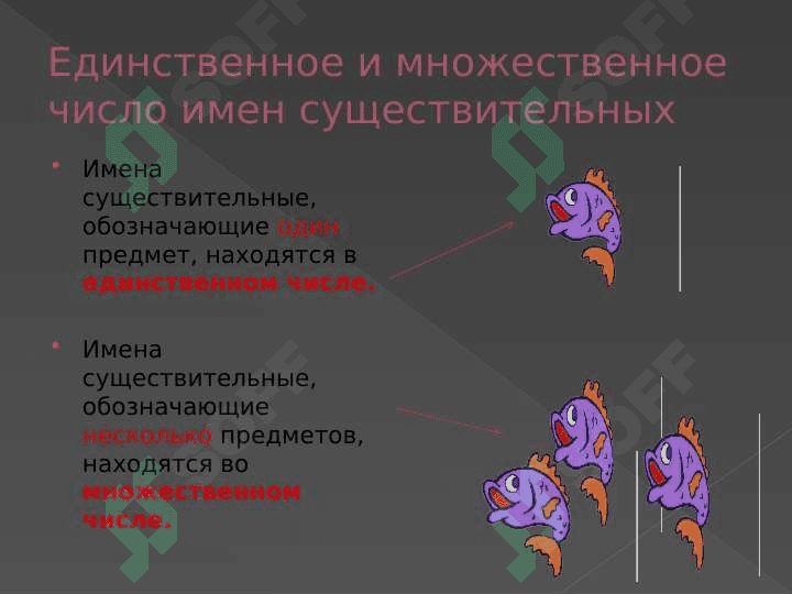 Множественное число имен существительных. 3