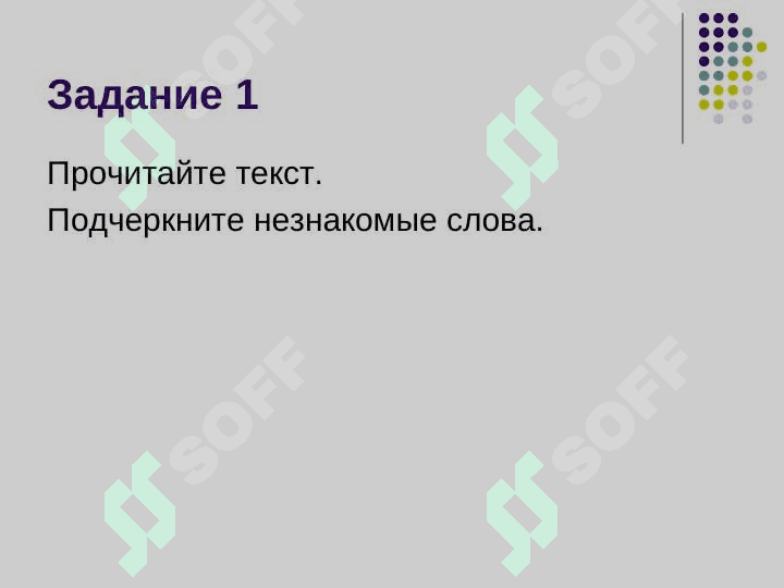 Моя родина – Узбекистан 4