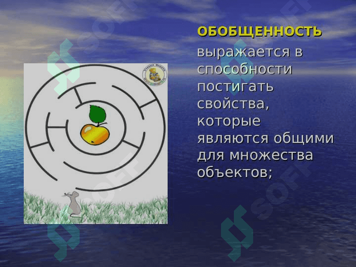 Речь функции речи 5
