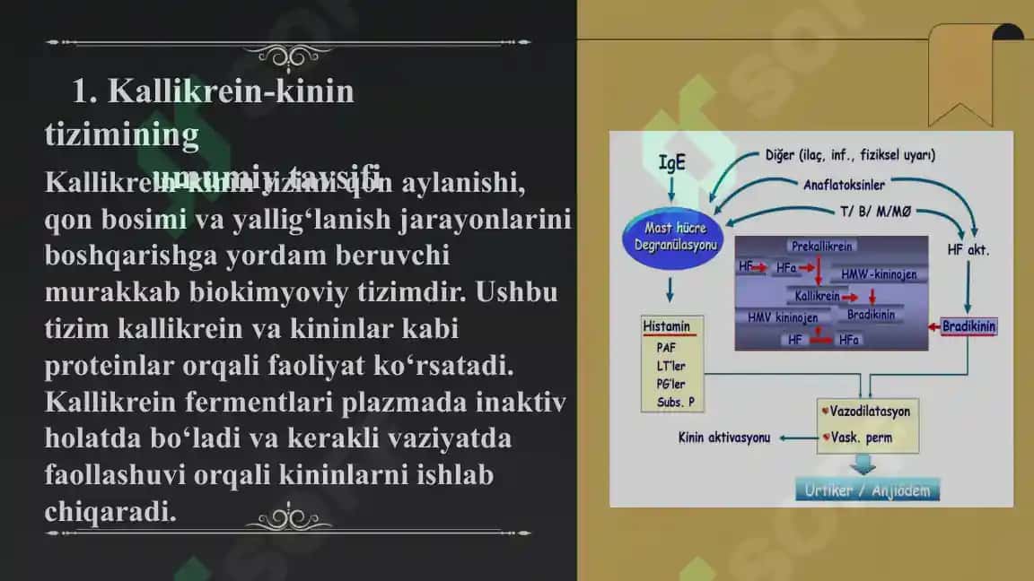 Kallikrein-kinin tizimi, klinik ahamiyati 3