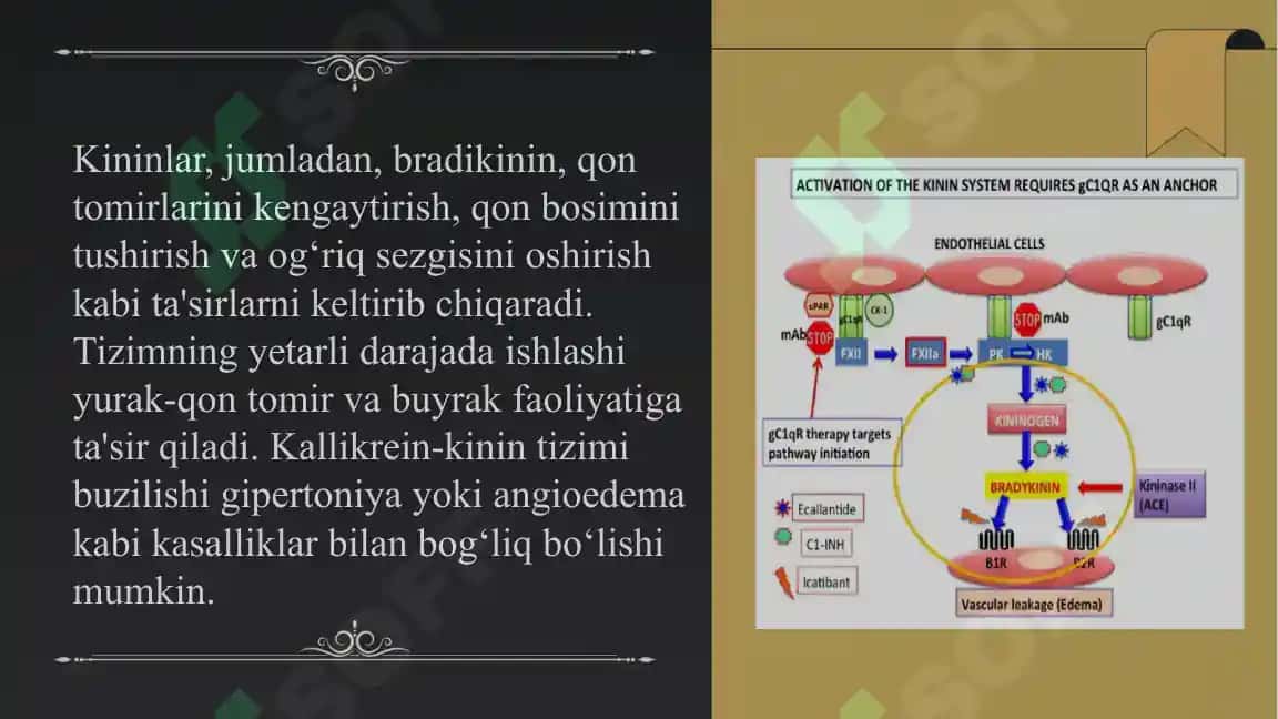 Kallikrein-kinin tizimi, klinik ahamiyati 4