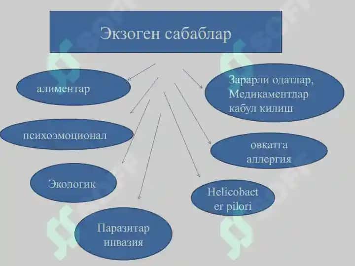 Сурункали гастрит 4
