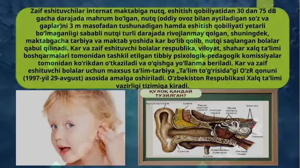 Eshitishda nuqsoni bòlgan bolalar uchun ixtisoslashtirilgan maktab internatlari 3