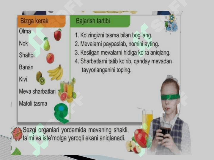 Sezgi organlari yordamida mevalarni oʻrganamiz 4