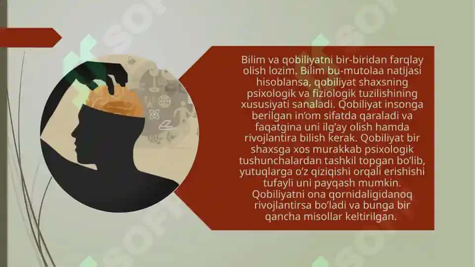Qobiliyatlar va rivojlanish 2