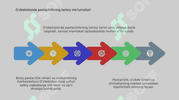 Markaz tomonidan paxta ishi oʻzbek ishi va kompaniyalar oʻtkazilishi 4
