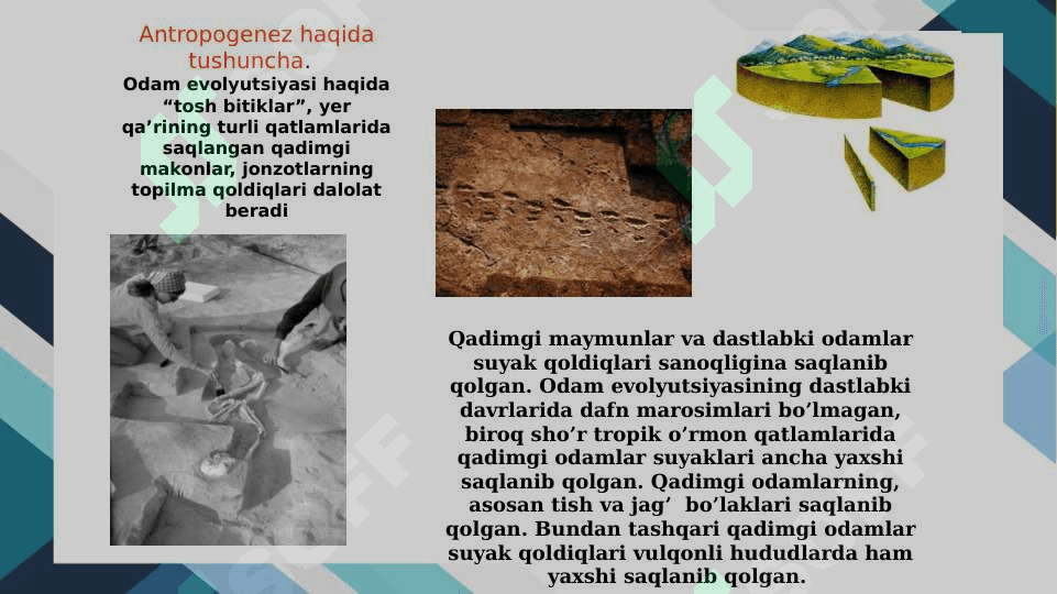 Antropogenezning paleontologik fan dalillari 2