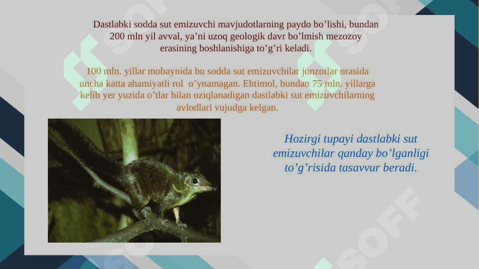 Antropogenezning paleontologik fan dalillari 4