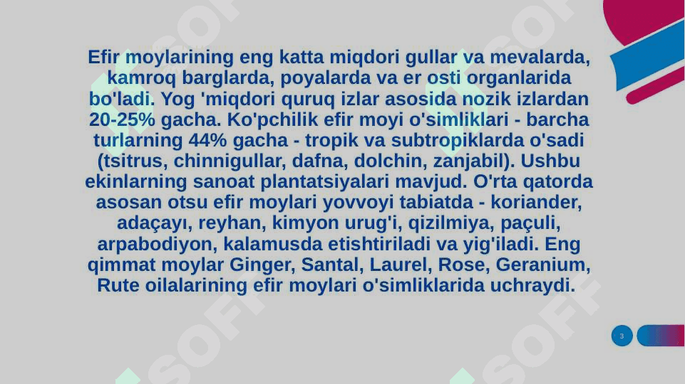 EFIR MOYLI O’SIMLIKLAR 3