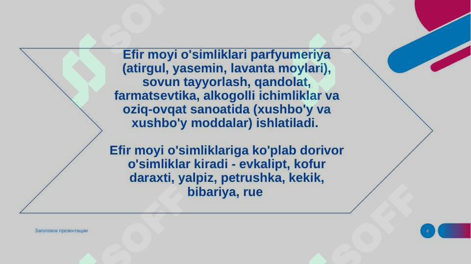 EFIR MOYLI O’SIMLIKLAR 4