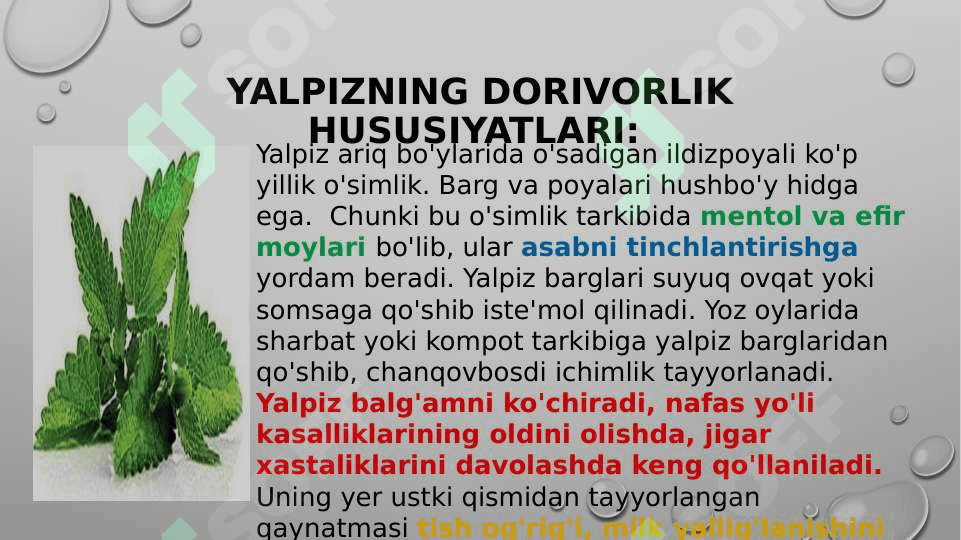 FLORADA UCHRAYDIGAN ZAHARLI O’SIMLIKLAR 2