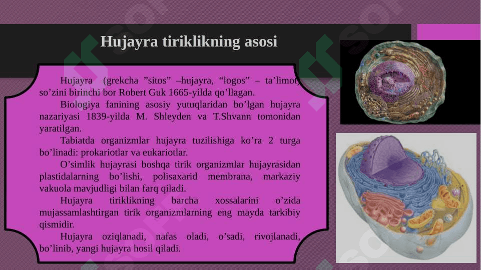 Hujayra – tiriklikning asosi 2