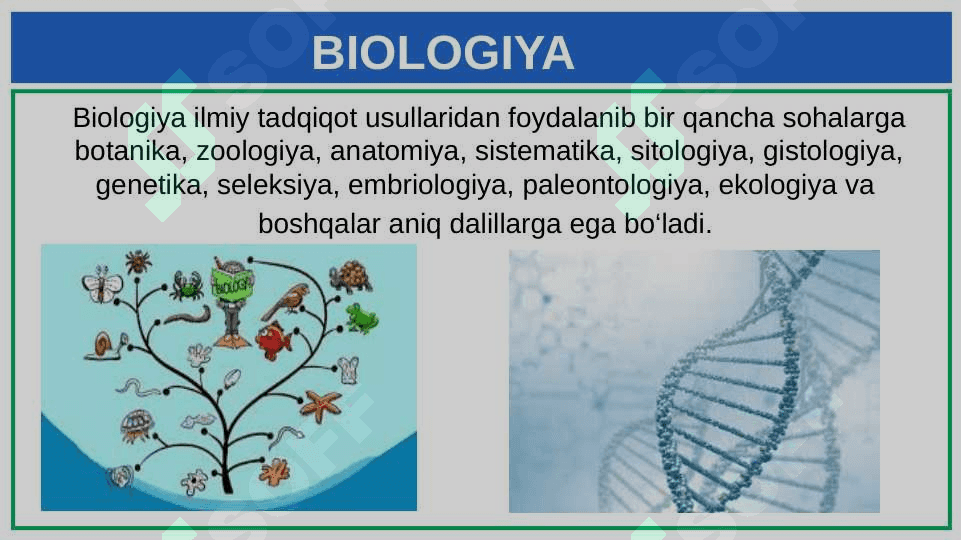 BIOLOGIYANI O'RGANISH USULLARI 3
