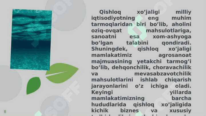 Qishloq xo‘jaligining barcha yo‘nalishlarida raqamlashtirish. Qishloq xo‘jaligi texnikalarini ijaraga berish, sotish bo‘yicha mobil ilovalar 8