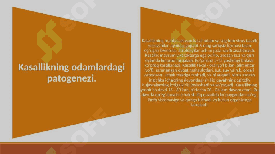 INFEKSION GEPATITLARNI QO'ZG'ATUVCHI VIRUSLAR 8