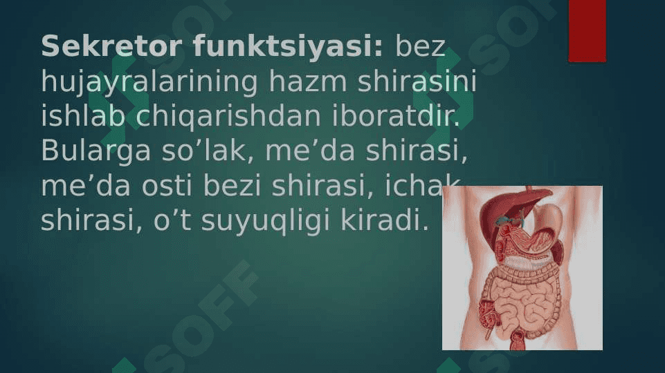 HAZM QILISH SISTEMASI 5