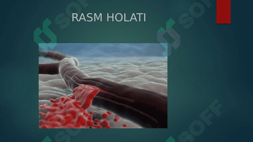 HAZM QILISH SISTEMASI 7