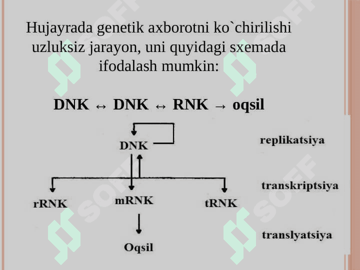 Transkripsiya, translyatsiya va oqsil biosintezi 5