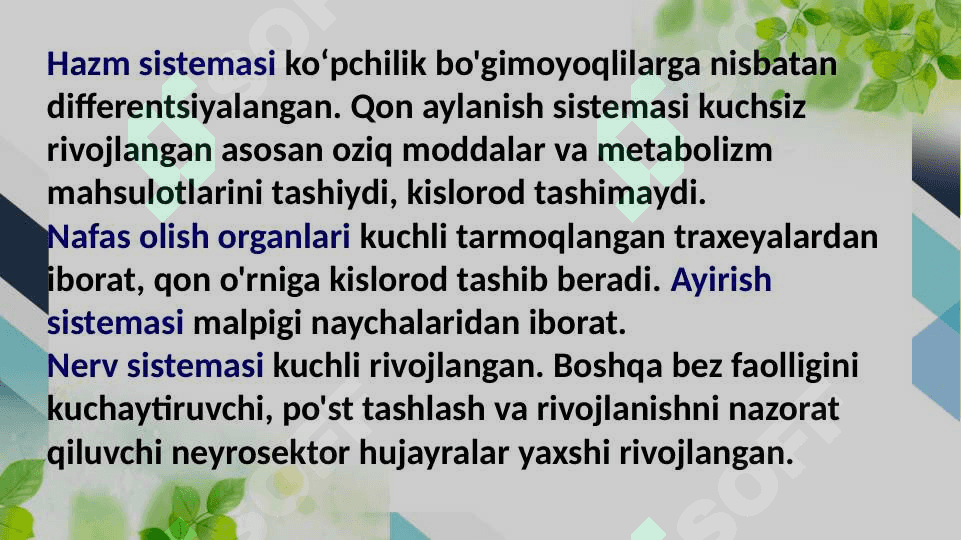 Sinantrop koʻrinishdagi hasharotlar, ularning epidemiologik ahamiyati 5