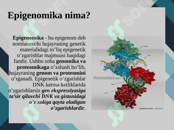 Epigenomika. Genlar faoliyatini boshqarilishining epigenetik mexanizmlari 3