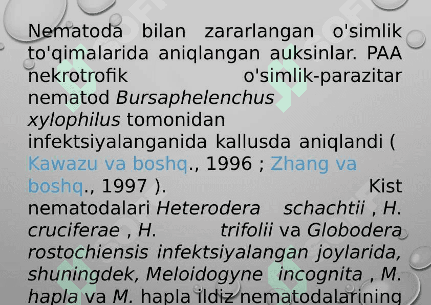 O’simliklarda sedentor fitoparazit nematodalar 4