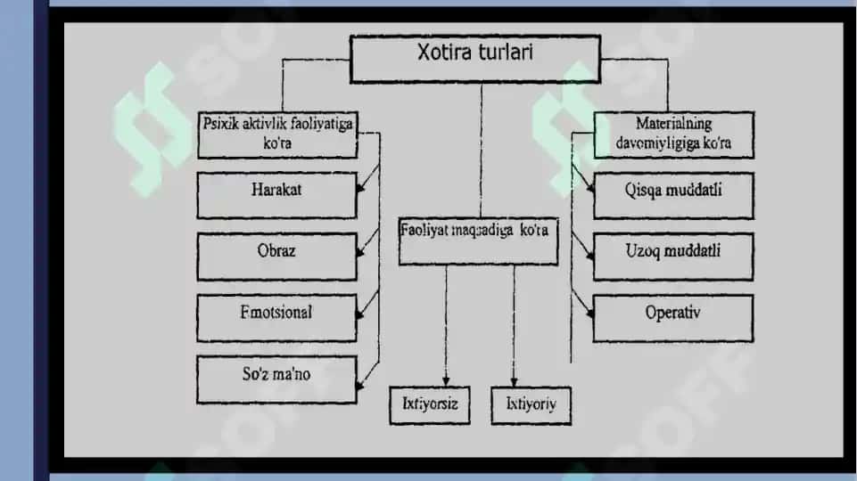 Xotira 8