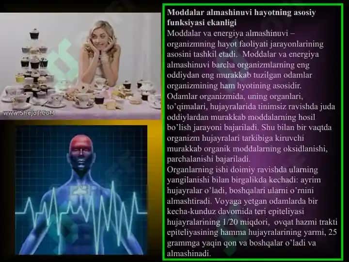 Modda va energiya almashinuvi 3