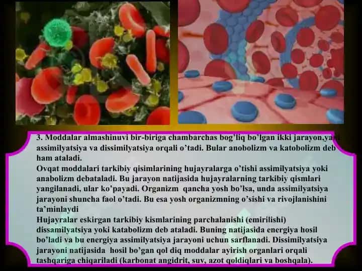 Modda va energiya almashinuvi 5