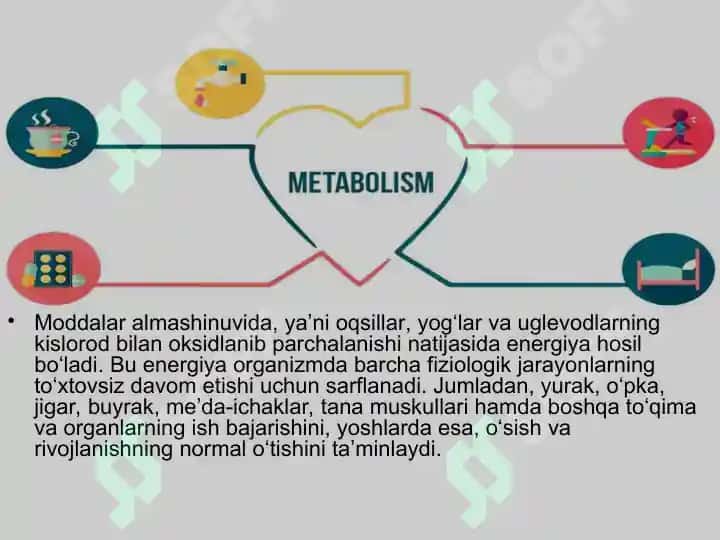 Modda va energiya almashinuvi 8