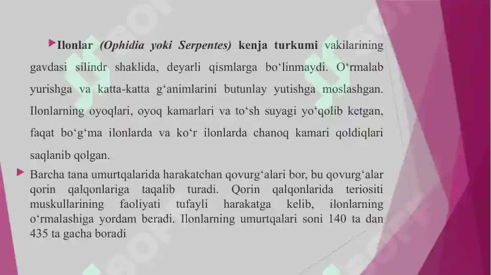 O'zbekistonning zaharli ilonlari, ularning tarqalishi va ahamiyati 2