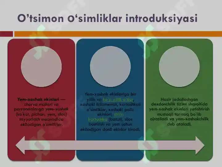 Qishloq xo'jaligi yem xashak mahsulotlari 3