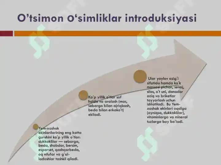Qishloq xo'jaligi yem xashak mahsulotlari 5