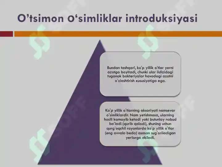 Qishloq xo'jaligi yem xashak mahsulotlari 6