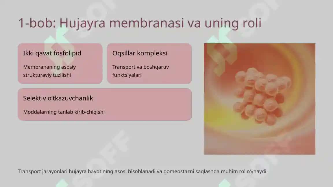 Hujayradagi transport jarayonlari 2