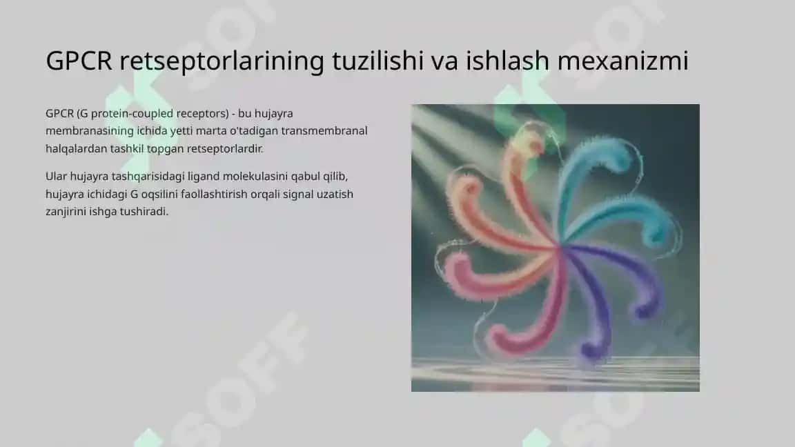 Retsepsiya hamda retseptor hujayralarning tuzilishi va faoliyati 6