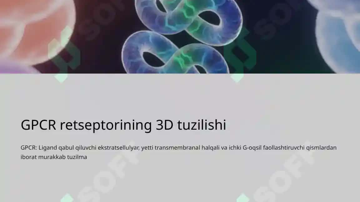 Retsepsiya hamda retseptor hujayralarning tuzilishi va faoliyati 8