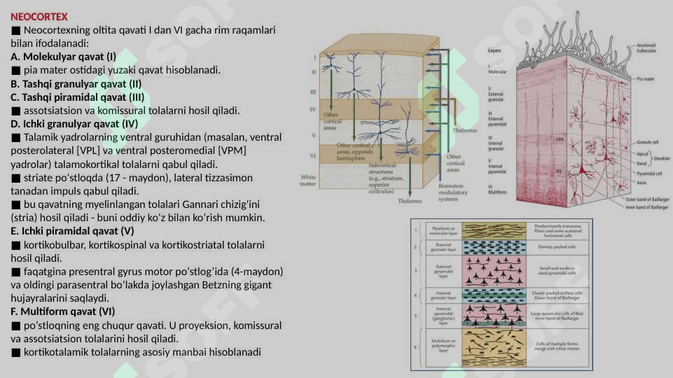 Bosh miya pòstlog'i taqdimot 3
