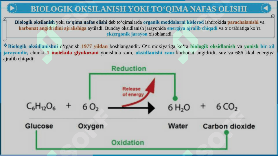 BIOLOGIK OKSIDLANISH. KATABOLIZMNING UMUMIY YO'LLARI 4