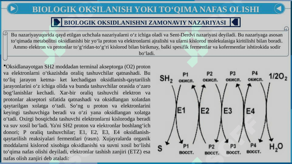BIOLOGIK OKSIDLANISH. KATABOLIZMNING UMUMIY YO'LLARI 7