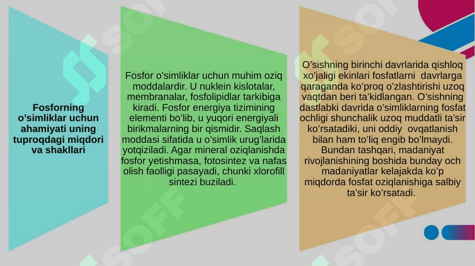 Fosforli moddalar va ularning energiya almashinuvidagi ahamiyati 6