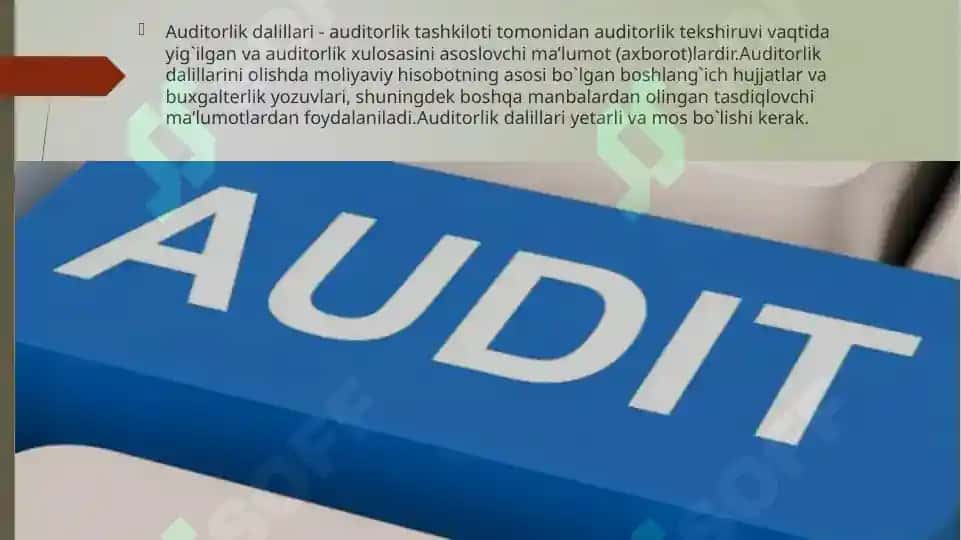 AUDITORLIK DALILLARI 3
