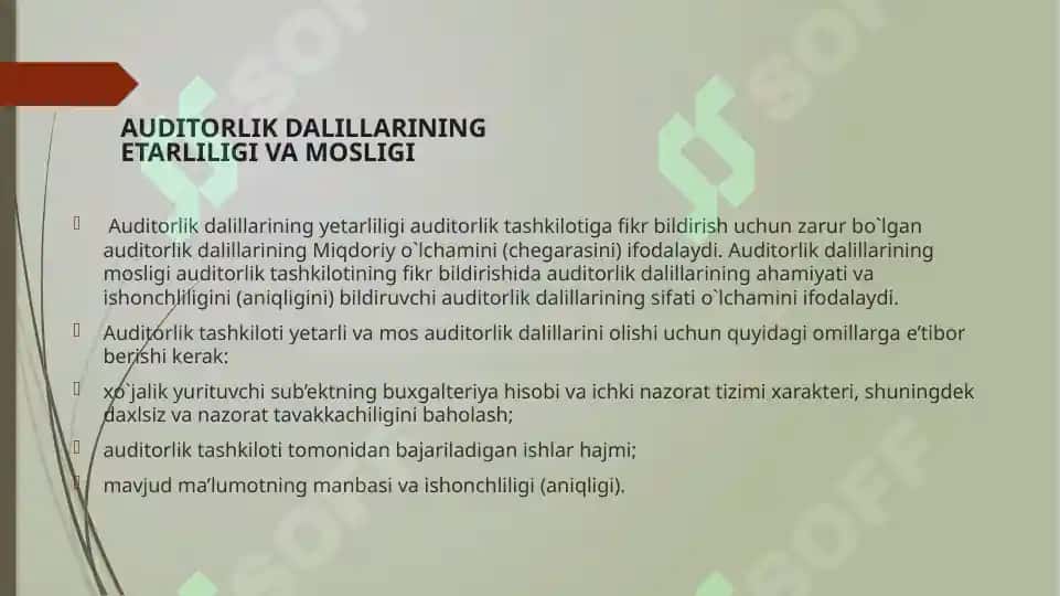 AUDITORLIK DALILLARI 4