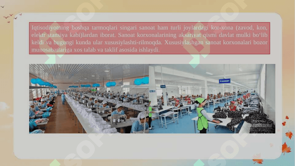 O'zbekiston qishloq xo'jaligi geografiyasi 4