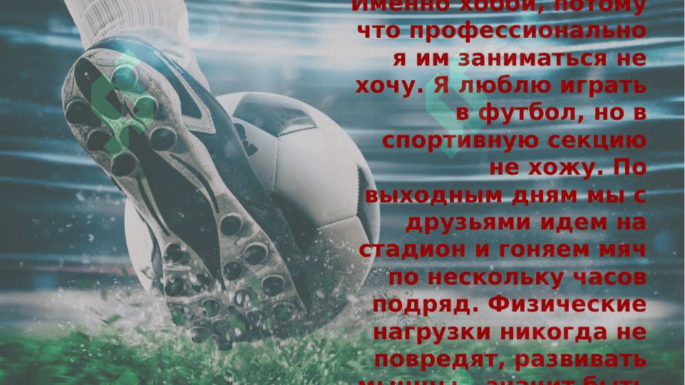 Мои хобби 4
