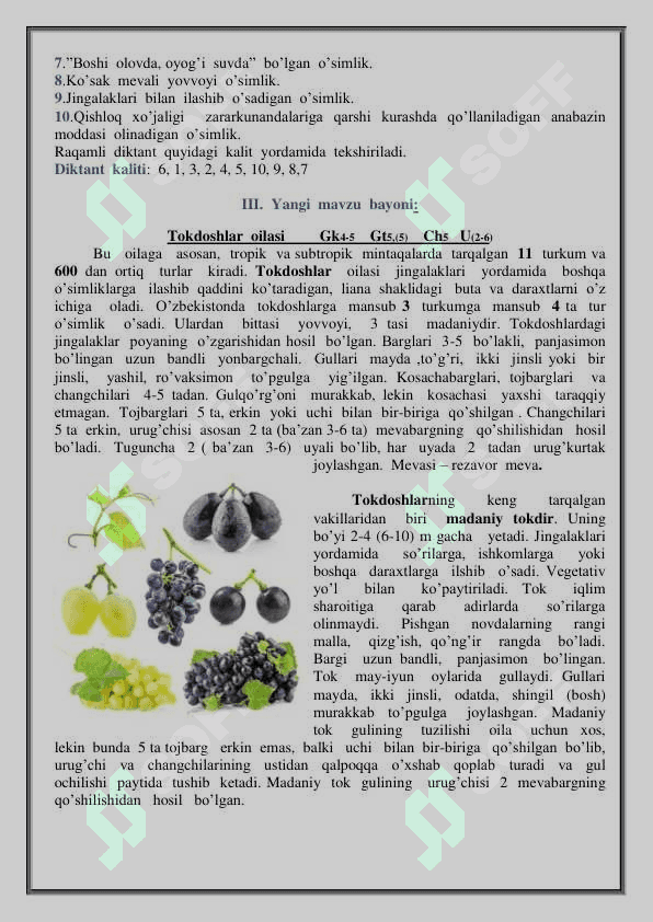 Tokdoshlar oilasi mavzusida ochiq dars 3