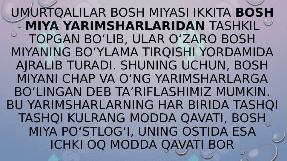 Bosh miya yarim sharlar po’stlog’ining fiziologiyasi 3