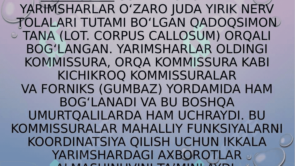 Bosh miya yarim sharlar po’stlog’ining fiziologiyasi 4