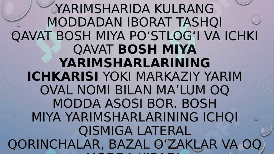 Bosh miya yarim sharlar po’stlog’ining fiziologiyasi 6