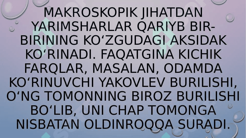 Bosh miya yarim sharlar po’stlog’ining fiziologiyasi 7